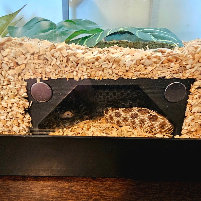 May include: A snake, with a tan and brown patterned body, is coiled inside a black enclosure. The enclosure is filled with wood shavings and has a small hideaway. Green artificial leaves are visible in the background.
