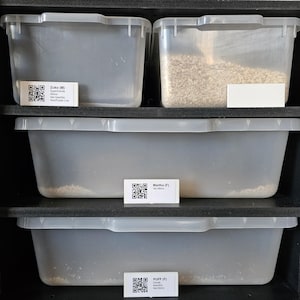 May include: Three clear plastic containers with lids, stacked on top of each other. Each container has a white label with black text and a QR code. The labels read "Zuko (M)", "Martha (F)", and "PUFF (F)".