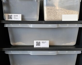 Snake Rack Pin Schilder, Etiketten Halter, Nametags für Vivarium Elektronik Reptile Racks. Set von 6 Stück mit Schild/Pinhalter