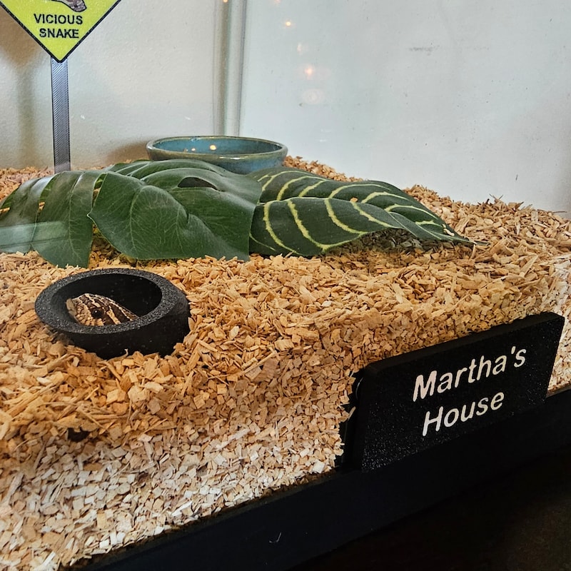 Hoggy Hide SMALL. Burrow Hide. Snake Hide for Western Hognose, Colubrids and other small snakes.