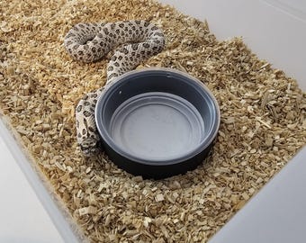 6er Set Wasserschalen für VE I160 Wannen. Hognose, Colubrid, kleine Schlangen und Geckos. 1,5 Unzen Wasser / Essensschale VE I-10 Rack