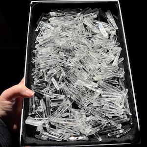 May include: A box filled with numerous clear quartz crystal points. The crystals are of varying sizes and shapes, with sharp, pointed ends. The crystals are displayed in a black box with a white border, against a black background.