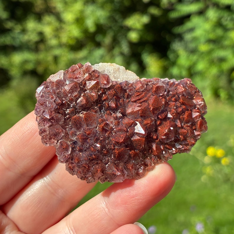 May include: A cluster of deep red, iron-stained quartz crystals with a jagged, crystalline surface texture. The mineral specimen features numerous small, pointed points in shades of dark rust and burgundy, with a small patch of white matrix visible.