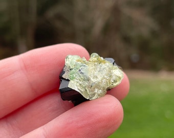 Hyalite Opal on Black Tourmaline, Erongo Namibia