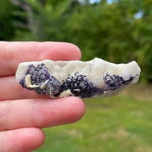 May include: A natural, raw fluorite specimen. The stone features a creamy white base with clusters of deep purple, cubic crystals. The rough edges and varied texture highlight its organic form. The background is a blurred green, suggesting an outdoor setting.