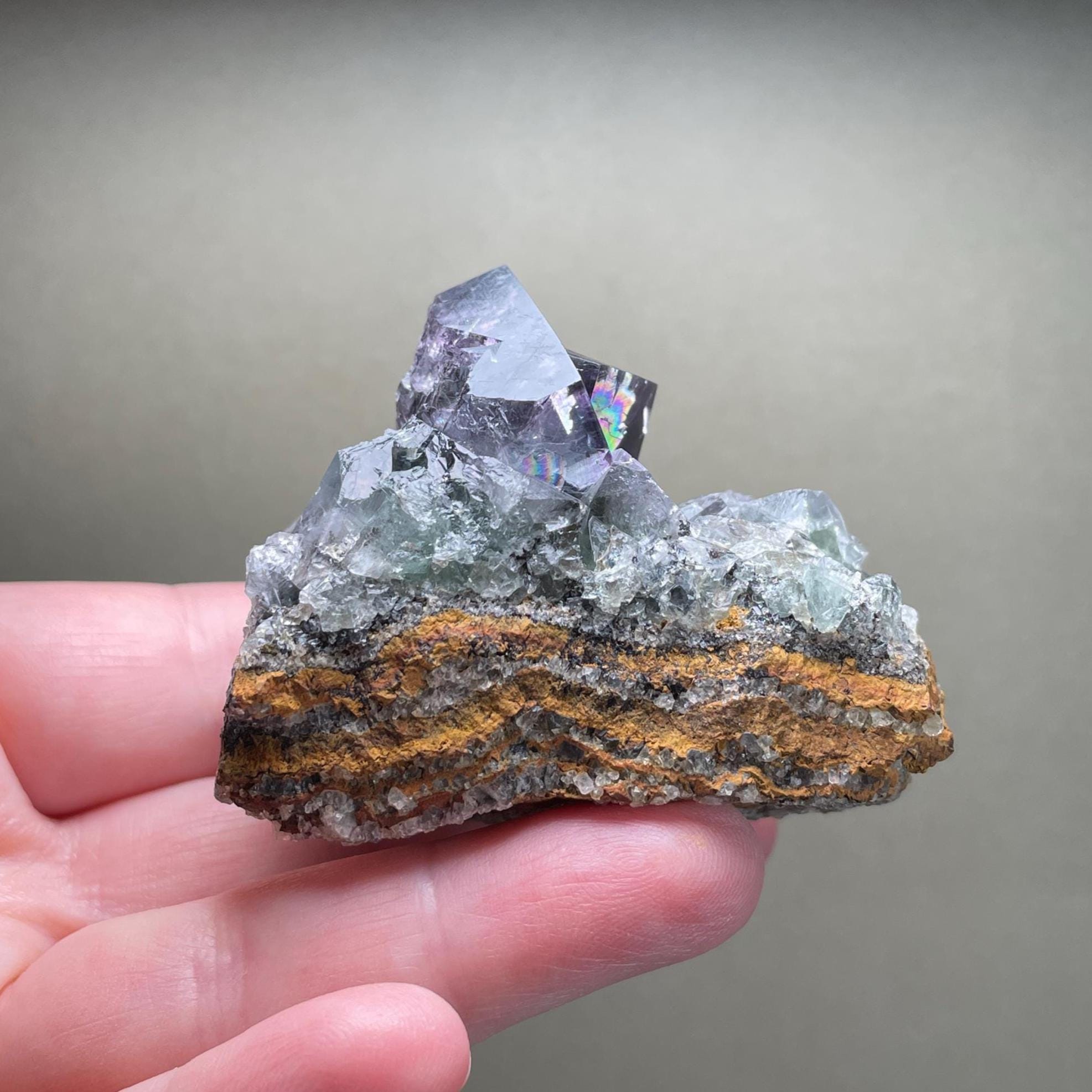 パープルレインポケット、フローライトクラスター、レディアナベラ