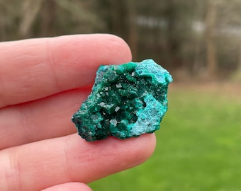 Dioptase Crystal Cluster Mineral Specimen