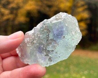 Sherry Twins Pocket, Fluorite Crystal, Lady Annabella Mine