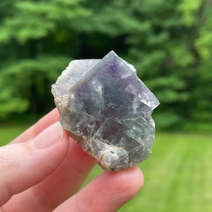 May include: A natural fluorite crystal, displaying a striking purple and green colour gradient. The crystal has a geometric form with a rough, textured surface. The background is blurred, with green foliage.