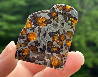 Brahin Pallasite Meteorite Slice, Stony Iron Meteor, Olivine, 4.4cm, 12.9gr