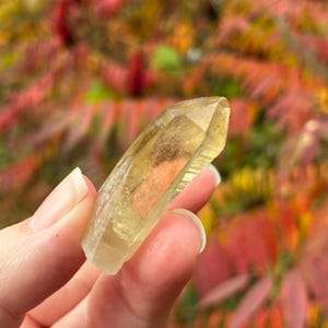 Australian Citrine, Natural Raw Crystal Point, 3.6cm, 10.4gr imagem 5