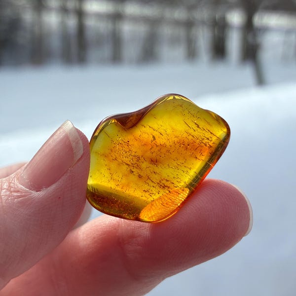 Pepita pulida de ámbar báltico, piedra pulida de forma libre, Lituania