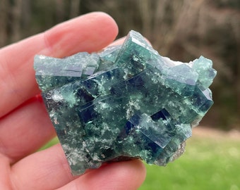 Naughty Gnome Fluorite Cluster, Diana Maria England