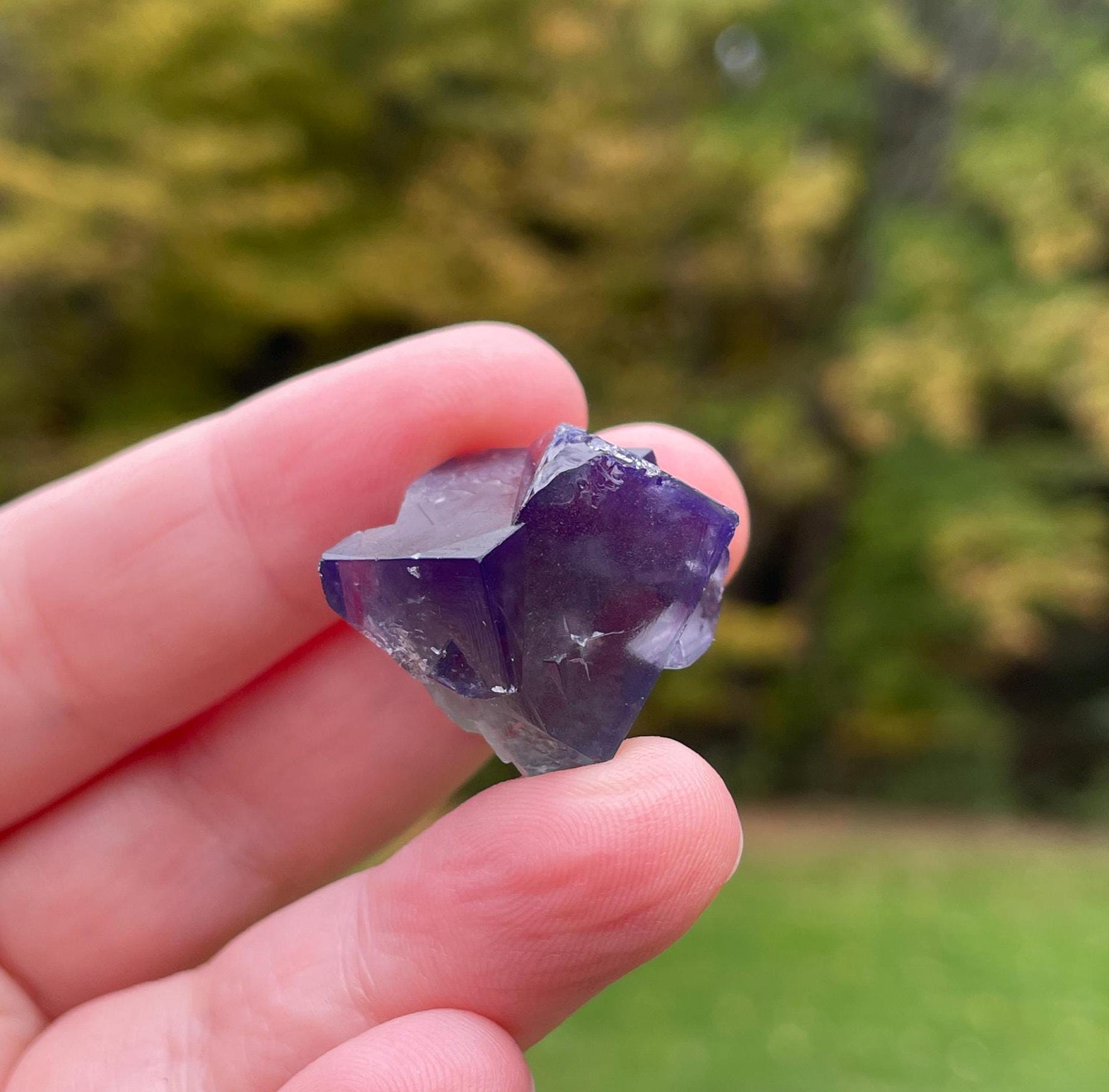 Lady Annabella Mine - Etsy