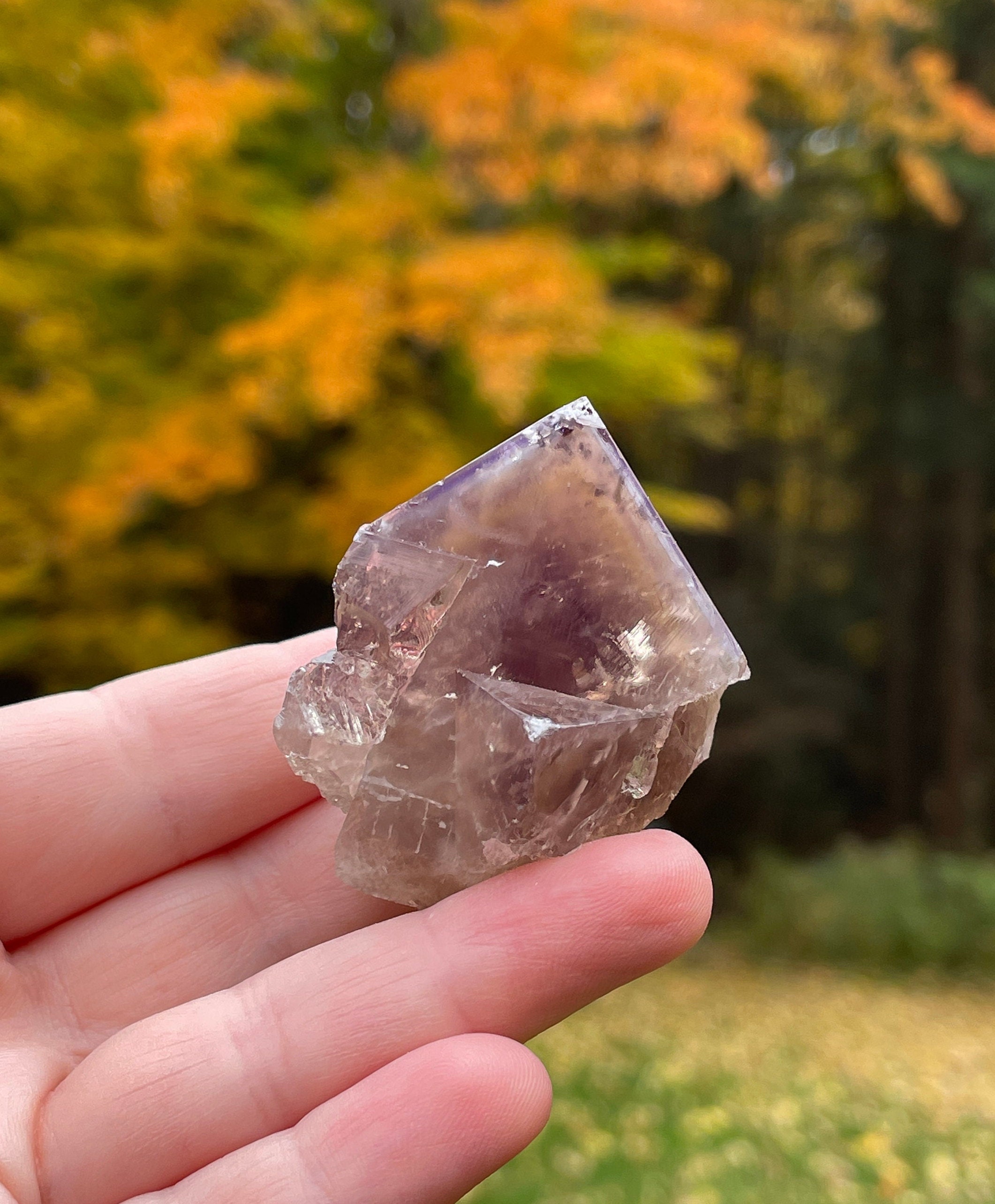 Sherry Twins Pocket, Yellow Fluorite Crystal, Lady Annabella Mine