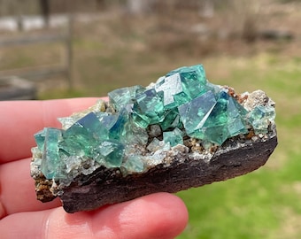 Heavy Metal Fluorite Cluster, Diana Maria Mine