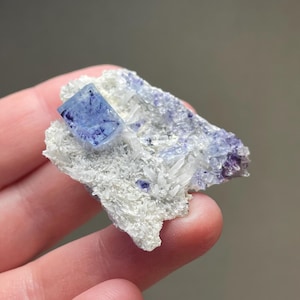 May include: A close-up of a mineral specimen featuring a vibrant blue fluorite crystal. The fluorite is set against a matrix of white quartz crystals and hints of purple. The specimen is held in a hand.