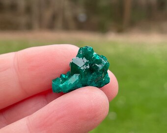 Dioptase Crystal Cluster Mineral Specimen