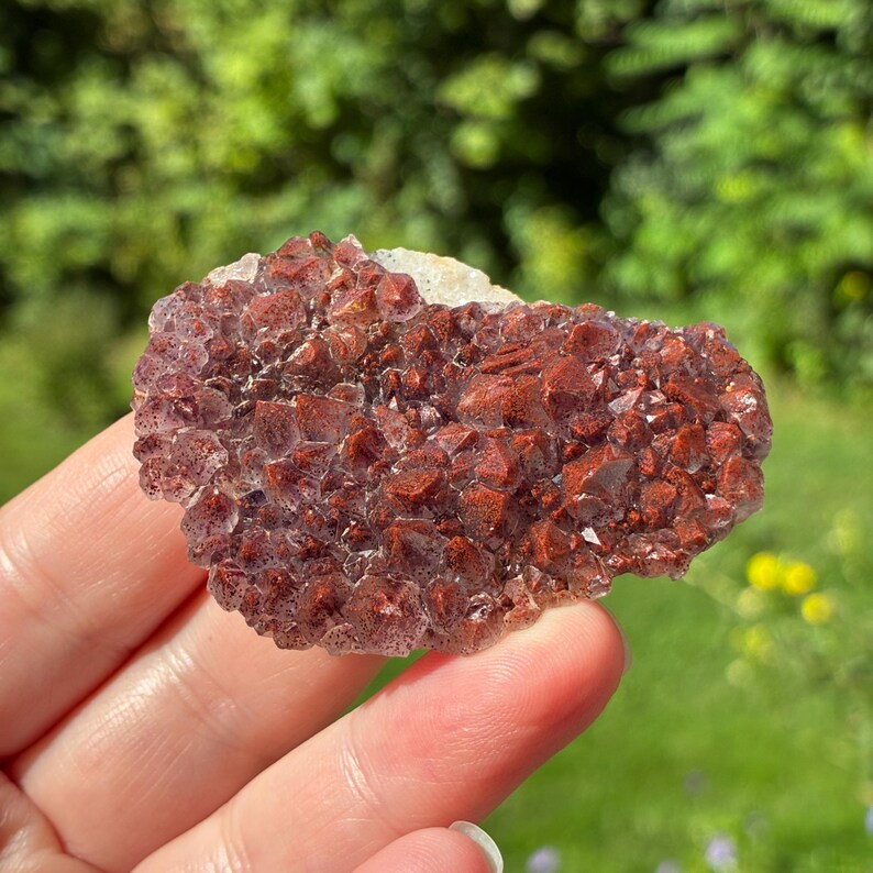 May include: A cluster of raw, deep red and brownish-red crystalline mineral formations with a textured, sparkling surface. The specimen features numerous small, pointed crystal points densely packed together, displaying a rich, earthy color palette.