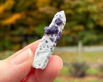 Pode incluir: Um espécime de cristal pontiagudo e alongado com uma base branca fosca e texturizada, apresentando aglomerados de formações cristalinas roxo-escuras concentradas ao longo da seção superior e das laterais da estrutura mineral.