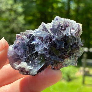 May include: A close-up of a fluorite crystal cluster. The crystal features a mix of dark purple, clear, and white crystalline structures. The natural light highlights the facets and color variations of the mineral specimen.