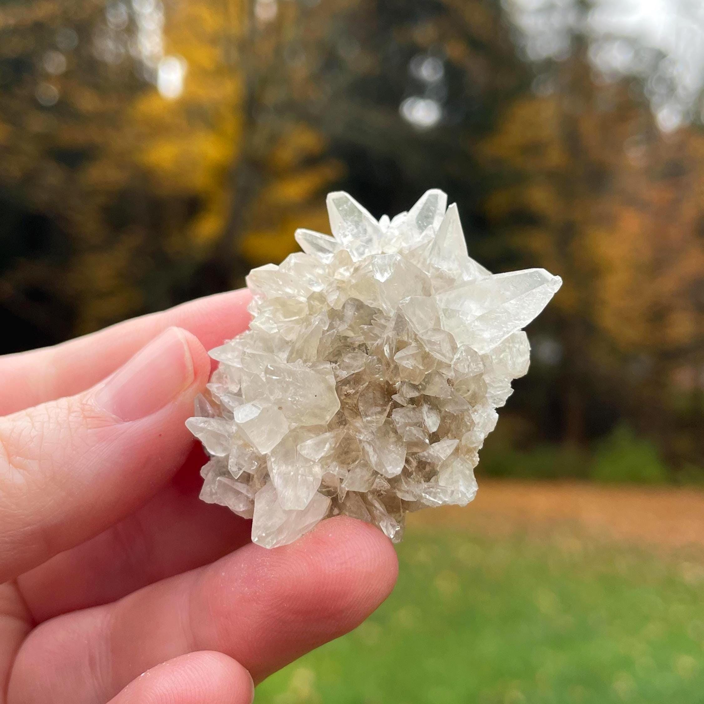 Minerva No 1 Mine - Etsy Canada
