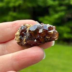 Vesper Peak Garnet Cluster, WA State, Natural Specimen, 17.3gr