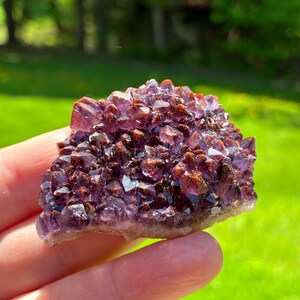 May include: A cluster of amethyst crystals, showcasing a deep purple hue with hints of reddish-brown. The crystals are tightly packed, forming a textured surface. The base of the cluster has a light beige color, contrasting with the vibrant purple.