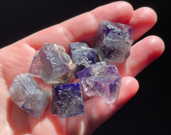 Lady Annabella Purple Fluorite, 6 Crystals