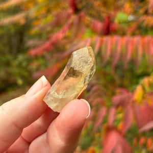 Australian Citrine, Natural Raw Crystal Point, 3.6cm, 10.4gr imagem 7