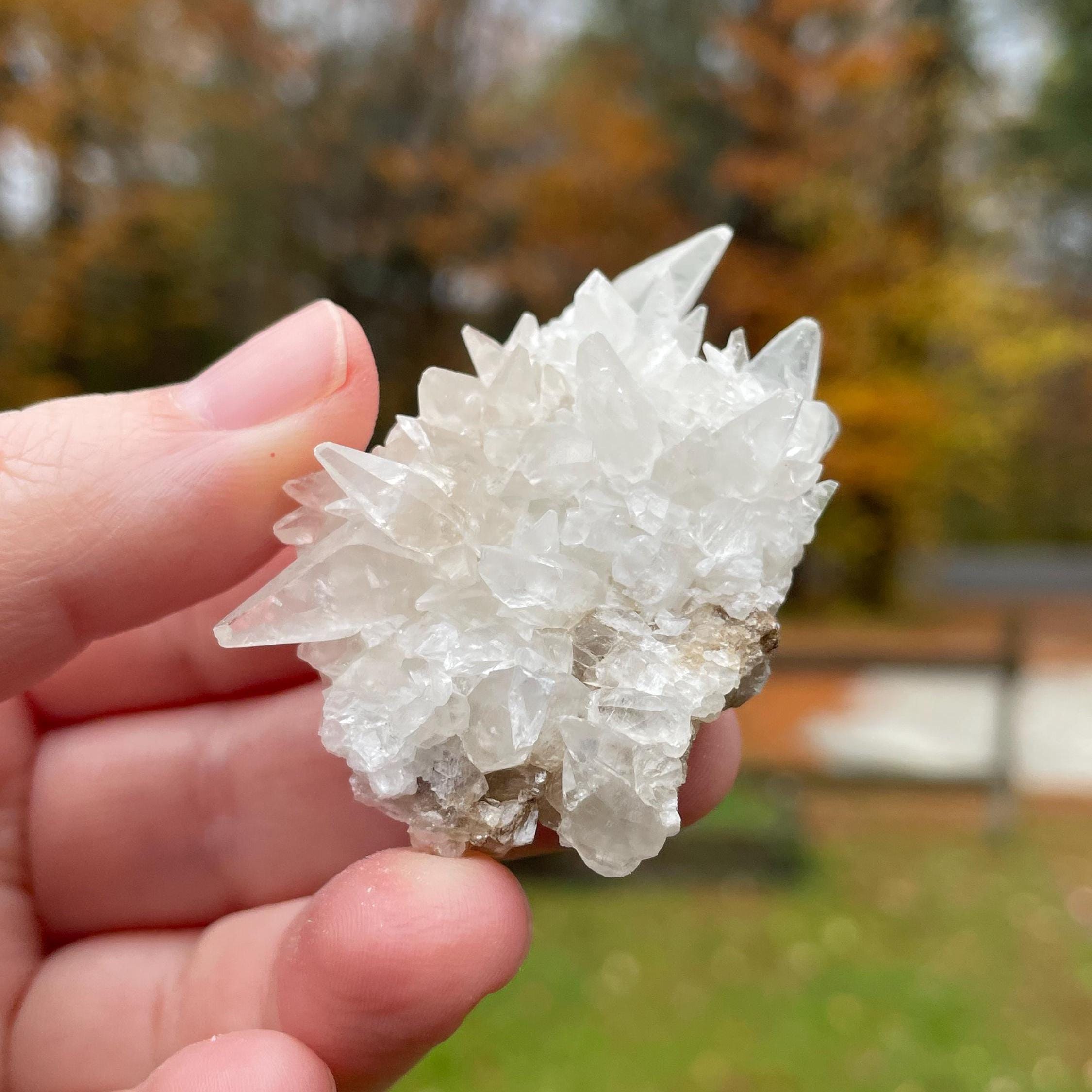 Minerva No 1 Mine - Etsy