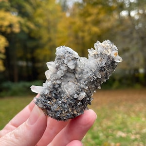 May include: A cluster of clear quartz crystals with a dark gray matrix. The crystals are pointed and vary in size, with some appearing larger and more prominent. The overall shape is irregular, with a rough, textured surface. The background is blurred, suggesting an outdoor setting.