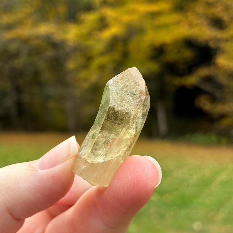Australian Citrine, Natural Raw Crystal Point, 3.6cm, 10.4gr imagem 10