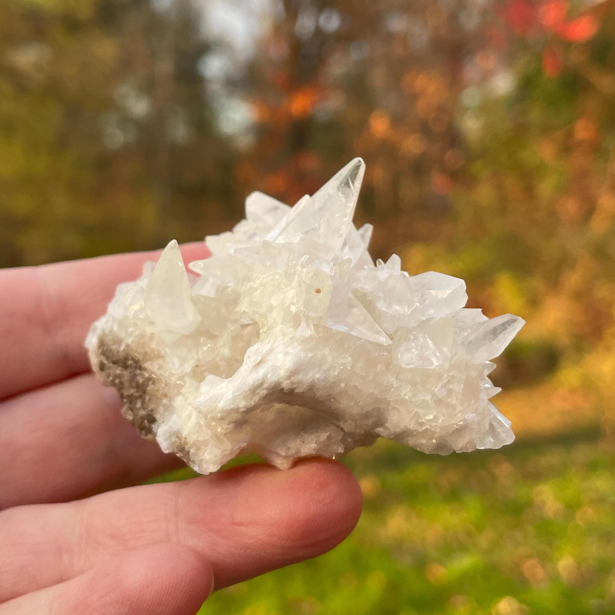 Minerva No 1 Mine - Etsy