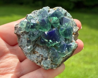 May include: A raw mineral specimen featuring clusters of translucent, cubic fluorite crystals. The crystals display a gradient of deep purple and vibrant green hues, embedded within a rough, greyish-brown rocky matrix with a jagged, uneven texture.