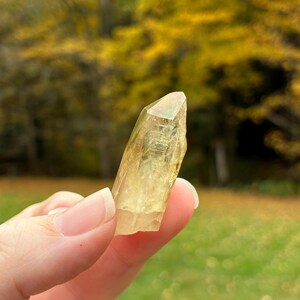 Australian Citrine, Natural Raw Crystal Point, 3.6cm, 10.4gr imagem 9
