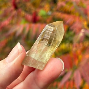 Australian Citrine, Natural Raw Crystal Point, 3.6cm, 10.4gr imagem 6