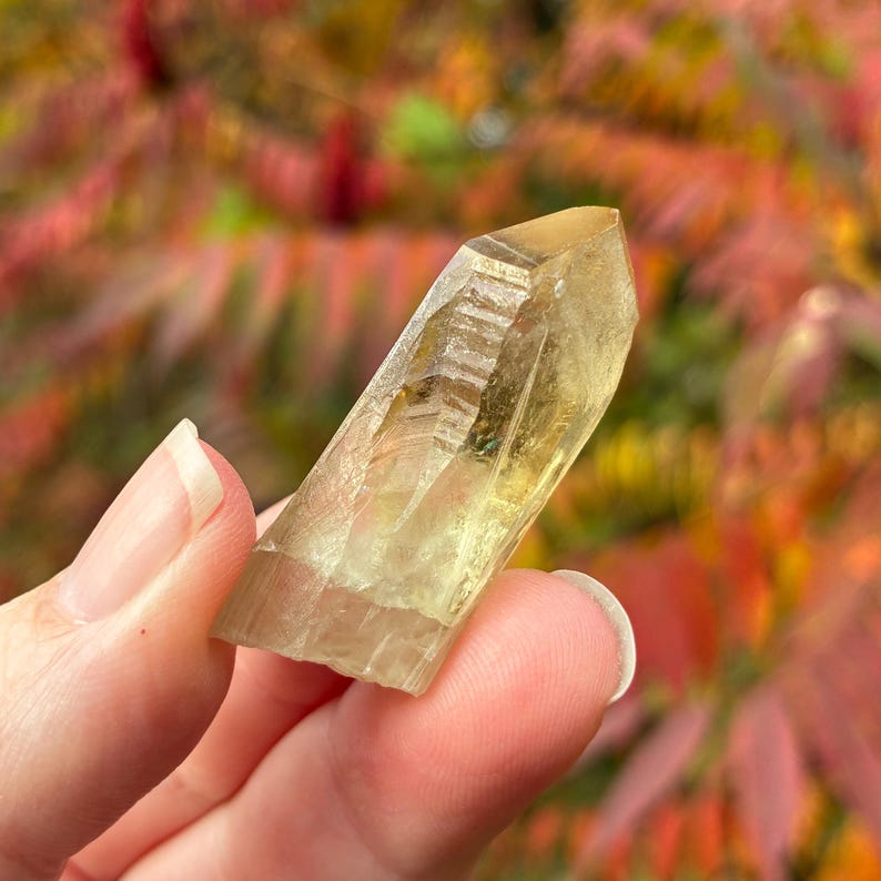 Australian Citrine, Natural Raw Crystal Point, 3.6cm, 10.4gr imagem 6