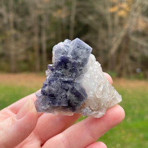 Milky Way Pocket, Fluorite Crystal Cluster on Quartz, Diana Maria England