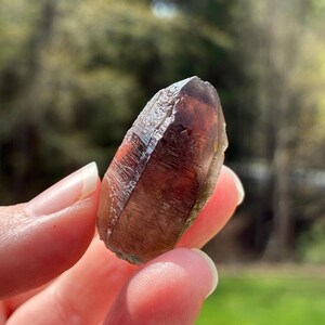 May include: A raw, natural smoky quartz crystal. The crystal is a translucent brown color with a pointed tip and a rough, textured surface. The crystal is held in a hand against a blurred green background.