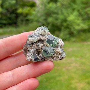 Druzy Dreams Pocket, Rogerley Fluorite Crystal Cluster, England