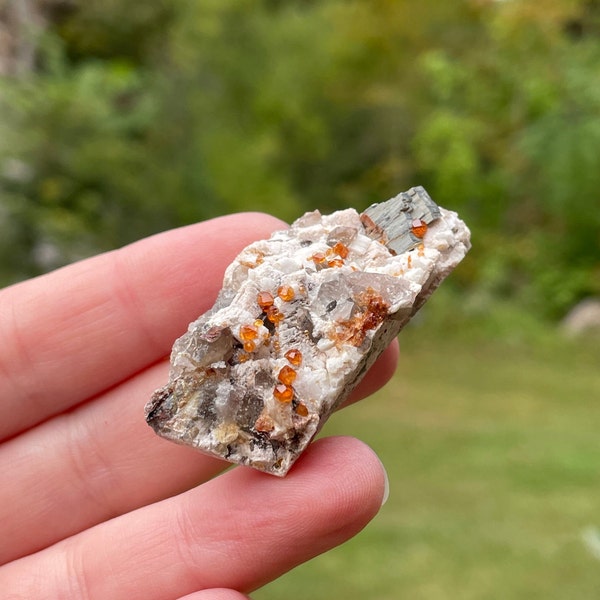 Small Garnet Cluster, Spessartine Garnet, Smoky Quartz, Fujian China