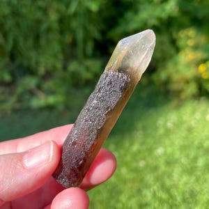 May include: A raw, natural crystal point with a gradient of colors. The tip is translucent, transitioning to a darker, textured base. The crystal is held against a blurred green background.