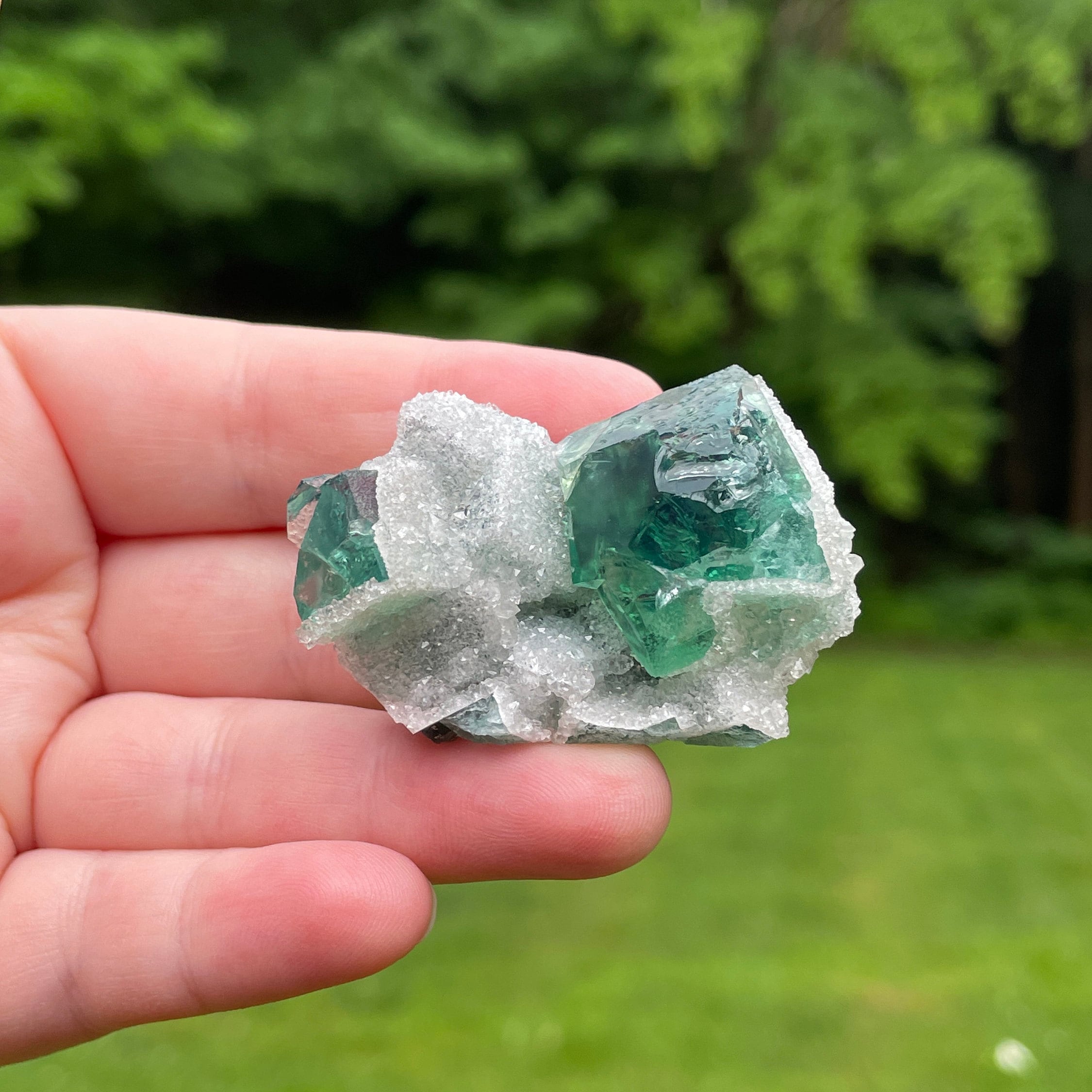 ドゥルージー 蛍石 フローライト 原石 クォーツ 天然石原石 水晶 蛍光