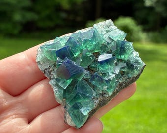 May include: A cluster of translucent fluorite crystals featuring a gradient of deep blue and vibrant green hues. The mineral specimen displays sharp, geometric cubic formations attached to a rough, greyish-brown rocky matrix base.