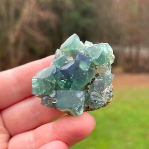 Pocket 42 Fluorite, Green Fluorite Cluster, Diana Maria, England UK