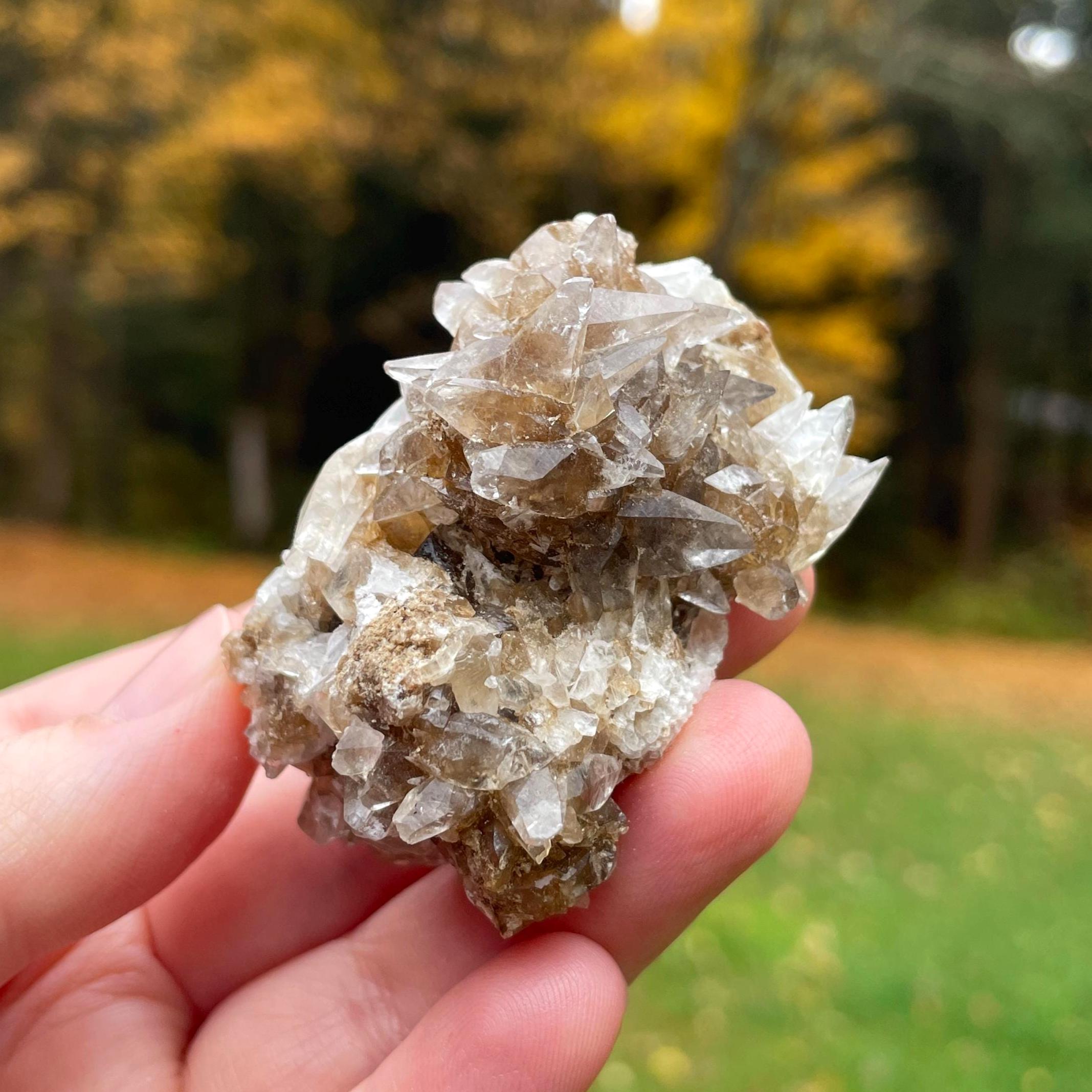 置物 Minerva Mine#1 Minerva No 1 Mine - Etsy