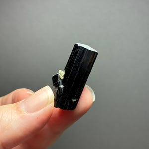 Może przedstawiać: Czarny kryształ turmalinu o pionowej, prążkowanej, kolumnowej strukturze z małą, bladą, metalicznie zabarwioną inkluzją mineralną przytwierdzoną do boku, prezentujący błyszczącą powierzchnię i ostre, geometryczne krawędzie.