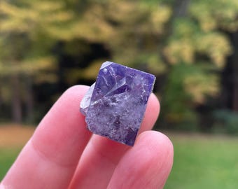 Sherry Twins Pocket, Fluorite Crystal, Lady Annabella Mine