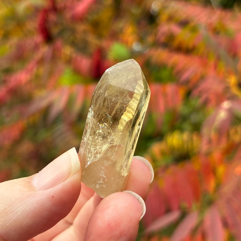Australian Citrine, Natural Raw Crystal Point, 3.6cm, 10.4gr imagem 4
